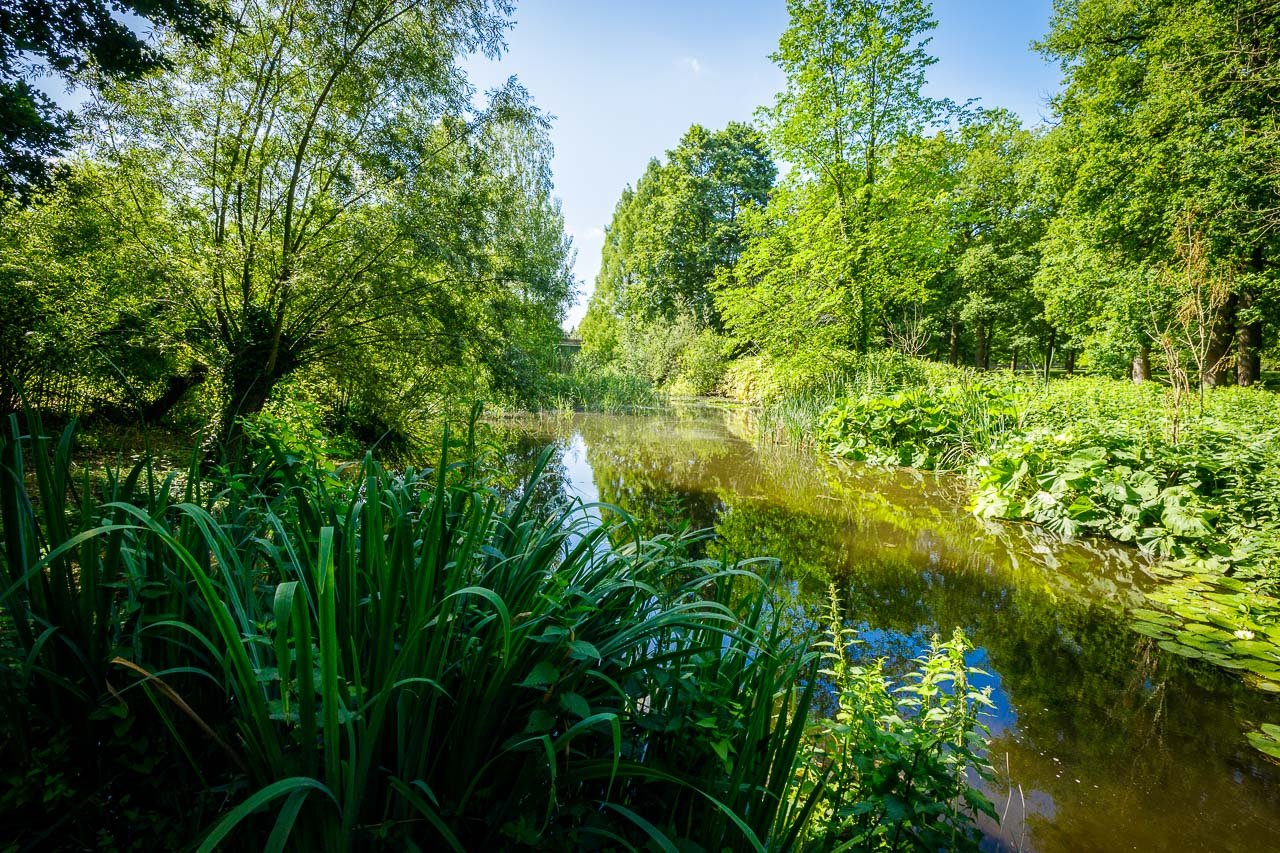 natuur