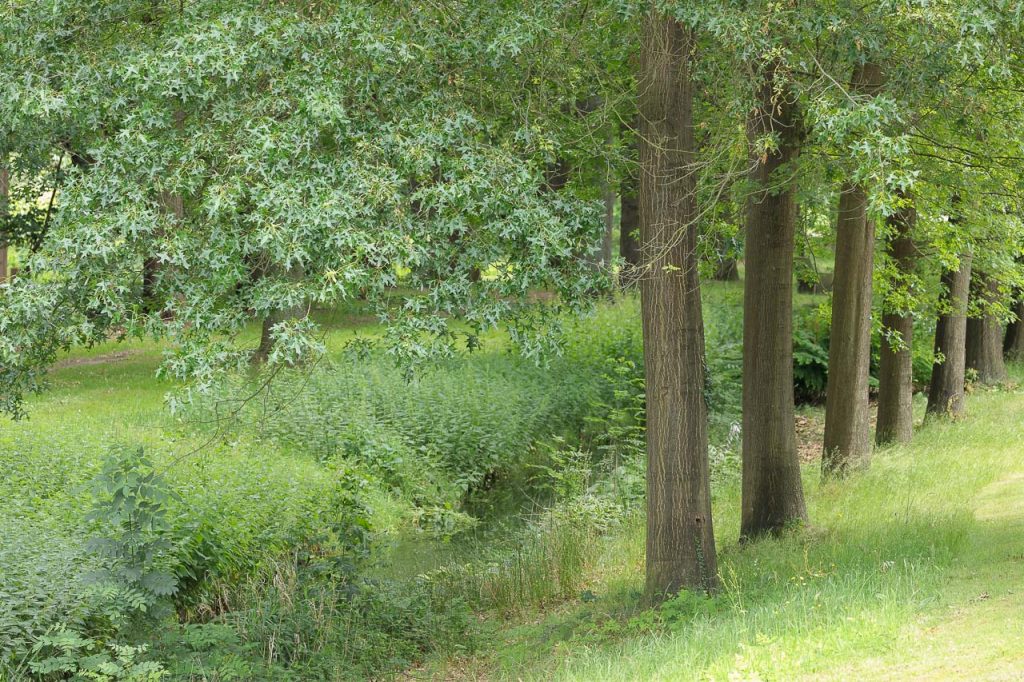 Bas-Meelker-6-1024x682