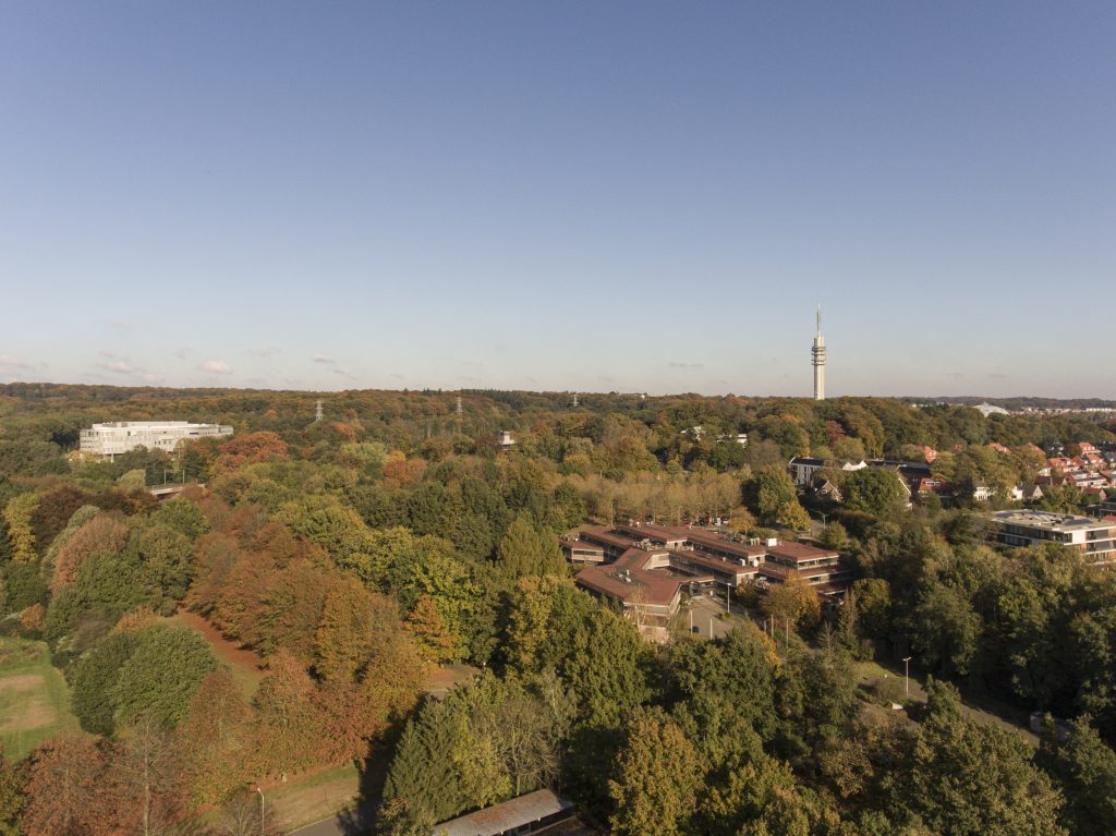 DJI_0192-1024x767